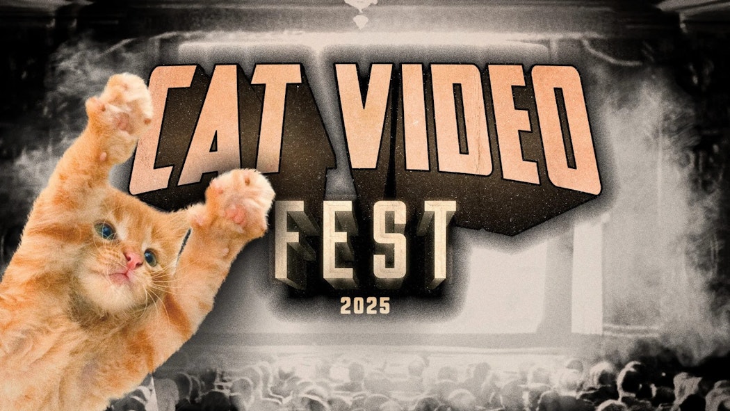 CatVideoFest at Circle Cinema