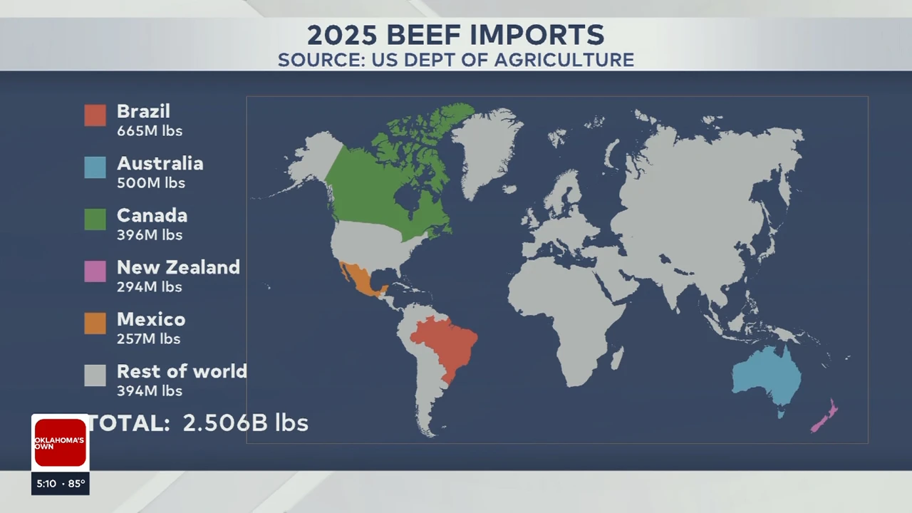 2025 Beef Imports