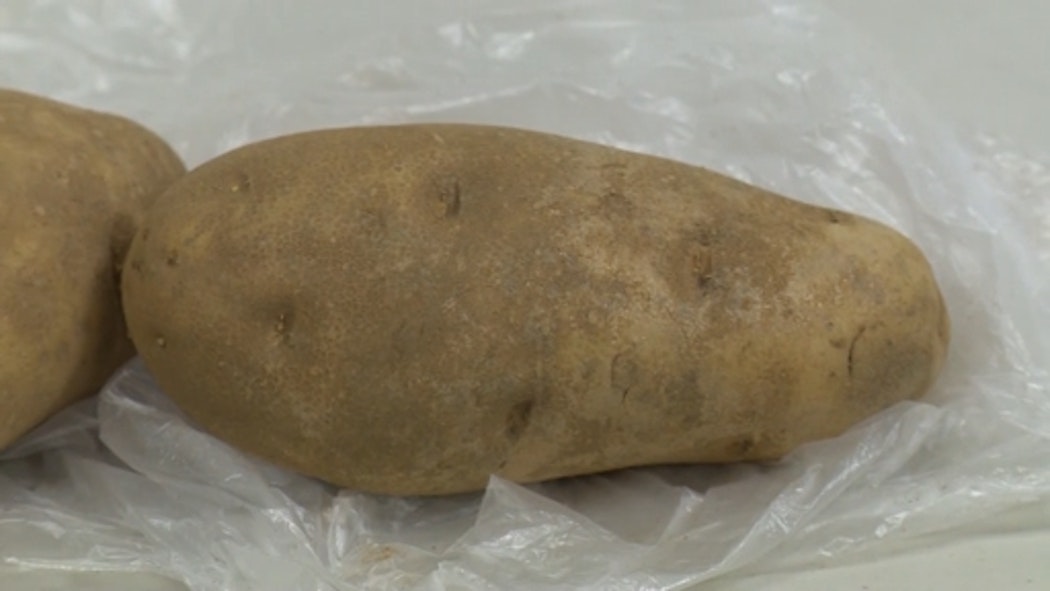National Potato Day, August 19