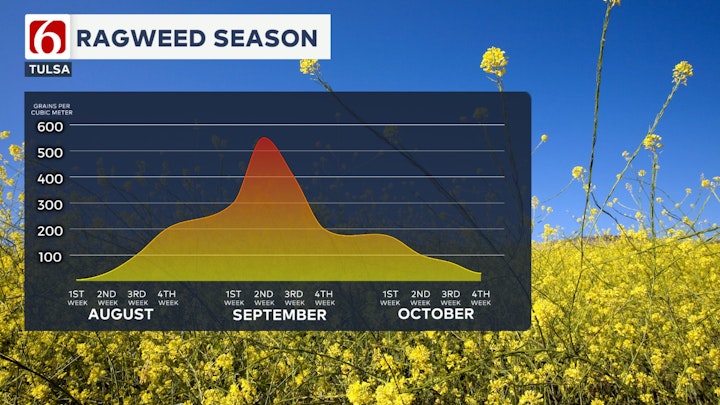 Ragweed season in Oklahoma