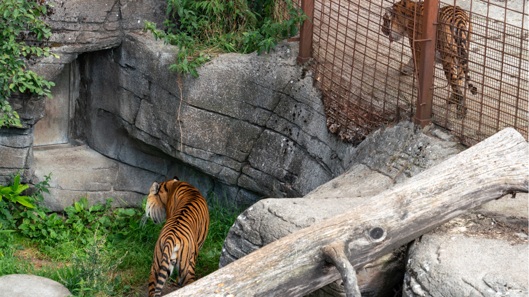 Aalborg Zoo