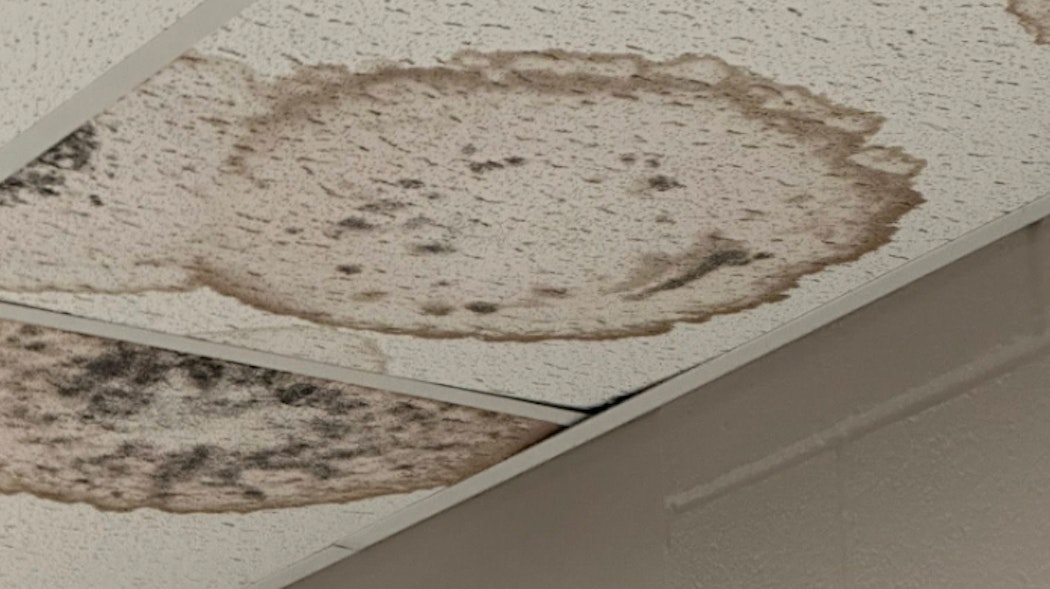 BA middle school mold