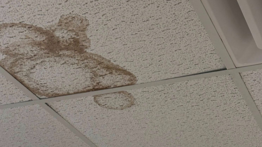 BA middle school mold