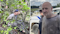 Arkansas prison employees fired after ‘Devil in the Ozarks’ escape