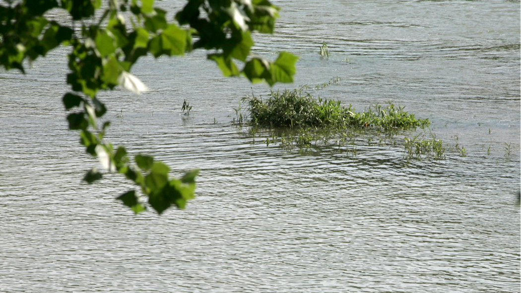 Illinois River