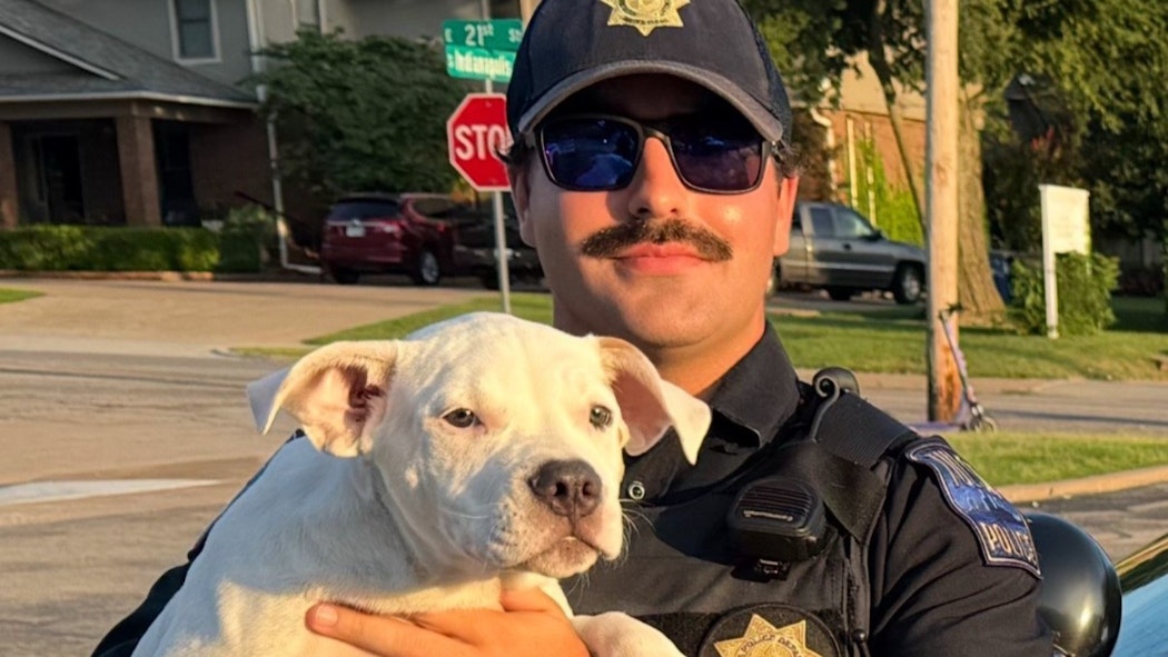 Stolen Puppy Returned