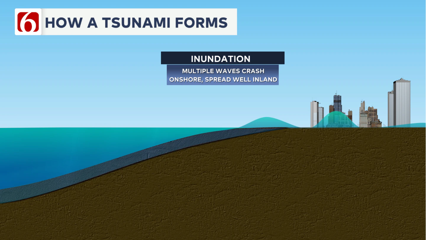 TSUNAMI FORMS FOUR