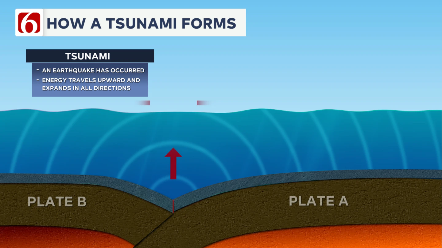 TSUNAMI FORMS