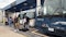 Gasoline prices moderate for holiday weekend travel, bus and plane travel hubs busy