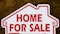 Investors buying more homes in the US