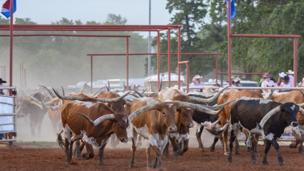 Longhorn Drive