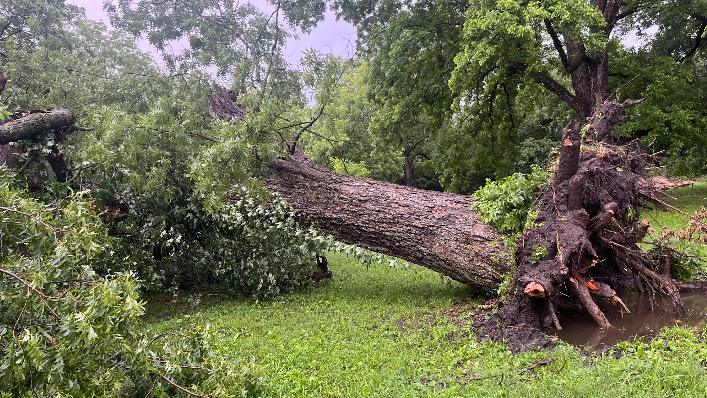 Pamela - Skiatook, Okla. - June 18, 2025 Storm