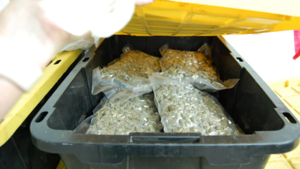 Illegal marijuana - Craig and Mayes Counties