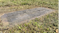 Tom's family's grave