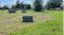 Where Tom trimmed around his family's grave