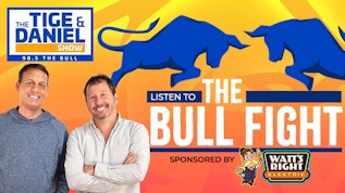 The Bull Fight