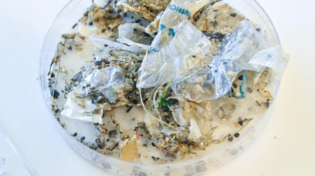 Plastic pollution growing into health danger, report finds