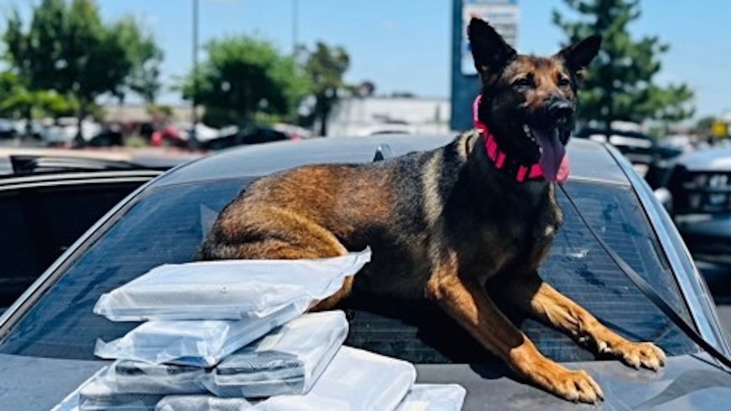 Cocaine bust