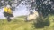 Man killed in Logan County plane crash identified