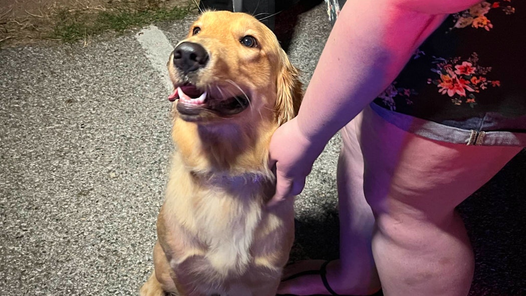 Good Girl 7/12