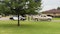Midwest City crash leaves 3 injured