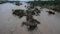 At least 13 fatalities reported in Texas as devastating floods slam hill country, officials say