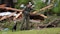 Gov. Stitt and Tulsa Task Force 1 respond to Texas Flash Flood disaster