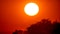 Oklahoma heat safety tips: How to spot and prevent heat illness
