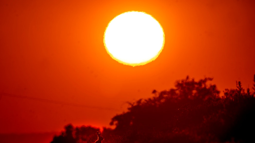 hot weather sun