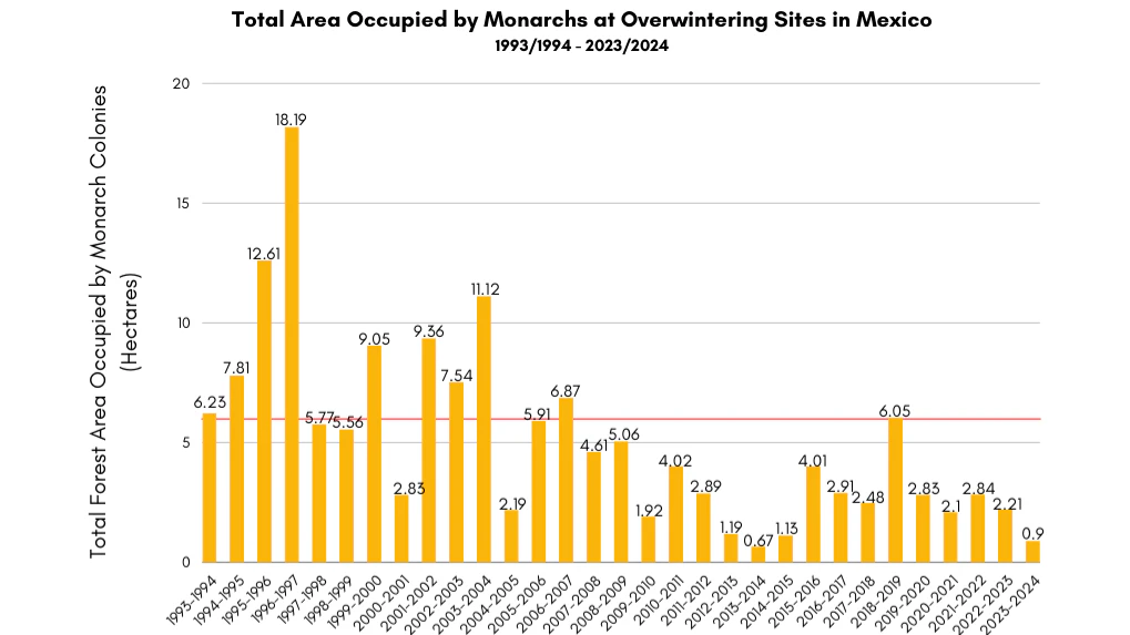 Area in Mexico occupied by monarchs since 1993